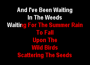 And I've Been Waiting
In The Weeds
Waiting For The Summer Rain
To Fall

Upon The
Wild Birds
Scattering The Seeds