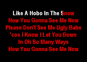 Like A Hobo In The Snow
How You Gonna See Me Now
Please Don't See Me Ugly Babe
'cos I Know I Let You Down
In Oh So Many Ways
How You Gonna See Me Now