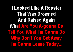 I Looked Like A Rooster
That Was Drowned
And Raised Again

What Are You A-gonna Do
Tell You What I'm Gonna Do
Why Don't You Get Away
I'm Gonna Leave Today...