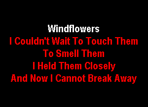 Windflowers
I Couldn't Wait To Touch Them
To Smell Them

l Held Them Closely
And Now I Cannot Break Away