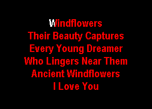 Windflowers
Their Beauty Captures
Every Young Dreamer

Who Lingers Near Them
Ancient Windflowers
I Love You