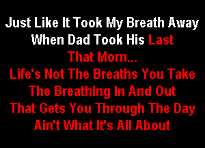 Just Like It Took My Breath Away
When Dad Took His Last
That Morn...

Life's Not The Breaths You Take
The Breathing In And Out
That Gets You Through The Day
Ain't What It's All About