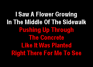 I Saw A Flower Growing
In The Middle Of The Sidewalk
Pushing Up Through
The Concrete
Like It Was Planted
Right There For Me To See