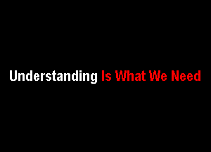 Understanding Is What We Need