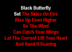 Black Butterfly
Set The Skies On Fire
Rise Up Euen Higher
So The Wind
Can Catch Your Wings
Let The Current Lift Your Heart
And Send It Soaring