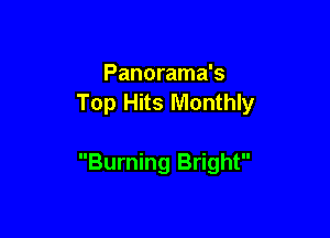 Panorama's
Top Hits Monthly

Burning Bright