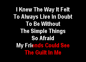 I Knew The Way It Felt
To Always Live In Doubt
To Be Without

The Simple Things
So Afraid
My Friends Could See
The Guilt In Me