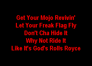 Get Your Mojo Reuiuin'
Let Your Freak Flag Fly
Don't Cha Hide It

Why Not Ride It
Like It's God's Rolls Royce