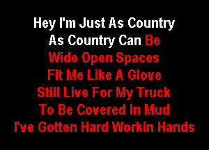 Hey I'm Just As Country
As Country Can Be
Wide Open Spaces
Fit Me Like A Glove
Still Live For My Truck
To Be Covered In Mud
I'ue Gotten Hard Workin Hands