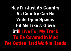 Hey I'm Just As Country
As Country Can Be
Wide Open Spaces
Fit Me Like A Glove
Still Live For My Truck
To Be Covered In Mud
I'ue Gotten Hard Workin Hands