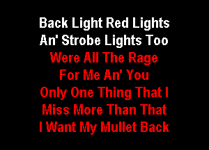 Back Light Red Lights
An' Strobe Lights Too
Were All The Rage
For Me An' You
Only One Thing That I
Miss More Than That

I Want My Mullet Back I