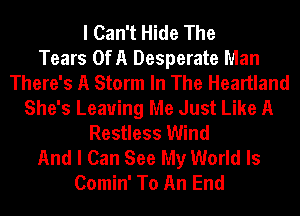 I Can't Hide The
Tears OfA Desperate Man
There's A Storm In The Heartland
She's Leaving Me Just Like A
Restless Wind
And I Can See My World Is
Comin' To An End