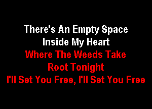 There's An Empty Space
Inside My Heart
Where The Weeds Take

Root Tonight
I'll Set You Free, I'll Set You Free
