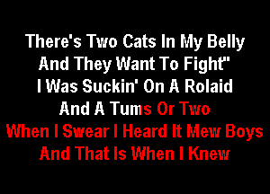 There's Two Cats In My Belly
And They Want To Fight
I Was Suckin' On A Rolaid
And A Tums 0r Two
When I Swear I Heard It Mew Boys
And That Is When I Knew