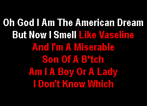 Oh God I Am The American Dream
But Now I Smell Like Vaseline
And I'm A Miserable
Son Of A BAtch
Am I A Boy Or A Lady
I Don't Know Which