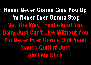 Never Never Gonna Give You Up
I'm Never Euer Gonna Stop
Not The Way I Feel About You
Baby Just Can't Live Without You
I'm Never Euer Gonna Quit Yeah
'cause Quittin' Just
Ain't My Stick