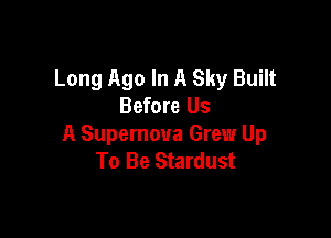 Long Ago In A Sky Built
Before Us

A Supernova Grew Up
To Be Stardust