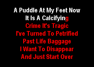 A Puddle At My Feet Now
It Is A Calcifying
Crime It's Tragic

I've Turned To Petrified

Past Life Baggage
lWant To Disappear
And Just Start Over