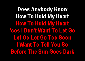 Does Anybody Know
How To Hold My Heart
How To Hold My Heart

'cos I Don't Want To Let Go
Let Go Let Go Too Soon
I Want To Tell You 80
Before The Sun Goes Dark