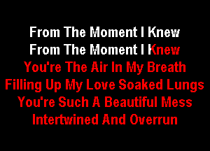 From The Moment I Knew
From The Moment I Knew
You're The Air In My Breath
Filling Up My Love Soaked Lungs
You're Such A Beautiful Mess
lntertwined And Overrun