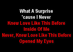 What A Surprise
'cause I Never
Knew Love Like This Before
Inside Of Me
Never, Knew Love Like This Before
Opened My Eyes