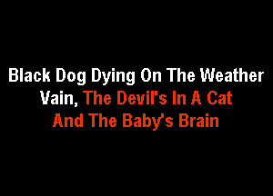 Black Dog Dying On The Weather
Vain, The Devil's In A Cat

And The Babyfs Brain
