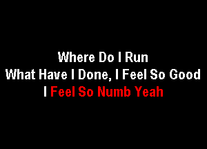 Where Do I Run
What Have I Done, I Feel So Good

I Feel So Numb Yeah