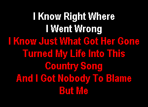 I Know Right Where
I Went Wrong
I Know Just What Got Her Gone
Turned My Life Into This

Country Song
And I Got Nobody To Blame
But Me