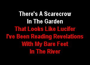 There's A Scarecrow
In The Garden
That Looks Like Lucifer

I've Been Reading Revelations
With My Bare Feet
In The River