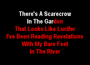 There's A Scarecrow
In The Garden
That Looks Like Lucifer

I've Been Reading Revelations
With My Bare Feet
In The River