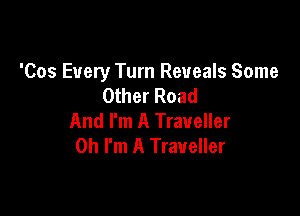 'Cos Every Turn Reveals Some
Other Road

And I'm A Traveller
Oh I'm A Traveller