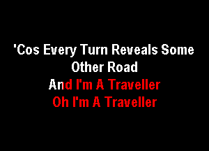 'Cos Every Turn Reveals Some
Other Road

And I'm A Traveller
Oh I'm A Traveller