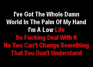 I've Got The Whole Damn
World In The Palm Of My Hand
I'm A Low Life
So Fucking Deal With It

No You Can't Change Something
That You Don't Understand