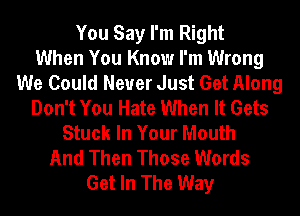 You Say I'm Right
When You Know I'm Wrong
We Could Never Just Get Along
Don't You Hate When It Gets
Stuck In Your Mouth
And Then Those Words
Get In The Way