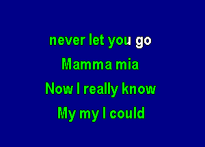 never let you go
Mamma mia

Now I really know

My my I could