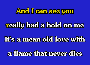 And I can see you
really had a hold on me
It's a mean old love with

a flame that never dies