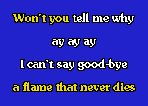 Won't you tell me why
ay ay ay
I can't say good-bye

a flame that never dies