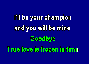 I'll be your champion

and you will be mine

Goodbye
True love is frozen in time