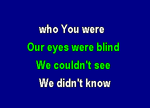 who You were

Our eyes were blind

We couldn't see
We didn't know