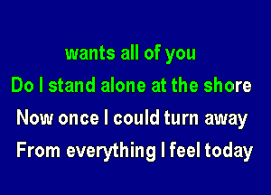 wants all of you
Do I stand alone at the shore
Now once I could turn away

From everything I feel today