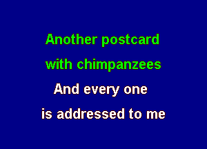 Another postcard

with chimpanzees

And every one

is addressed to me