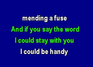 mending a fuse
And if you say the word

I could stay with you

lcould be handy