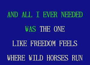 AND ALL I EVER NEEDED
WAS THE ONE
LIKE FREEDOM FEELS
WHERE WILD HORSES RUN