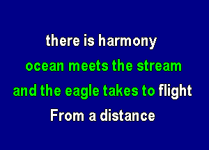there is harmony
ocean meets the stream

and the eagle takes to flight

From a distance
