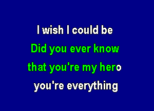 I wish I could be
Did you ever know

that you're my hero

you're everything