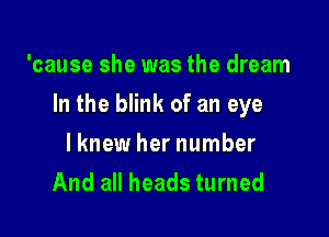 'cause she was the dream

In the blink of an eye

lknew her number
And all heads turned