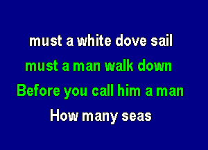 must a white dove sail
must a man walk down
Before you call him a man

How many seas