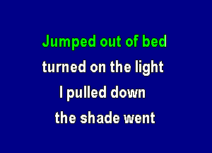 Jumped out of bed

turned on the light

I pulled down
the shade went