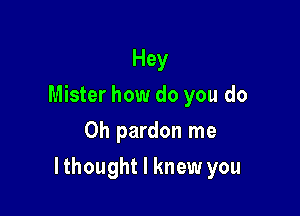 Hey
Mister how do you do
Oh pardon me

lthought I knew you