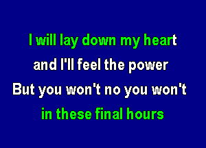 I will lay down my heart
and I'll feel the power

But you won't no you won't

in these final hours